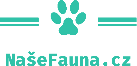 Naše Fauna